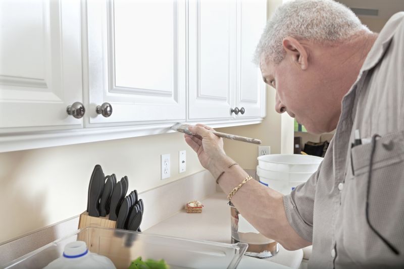 Increase Your Kitchen Cabinet Refacing Business with an AI Driven, Targeted Website